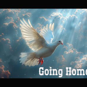 Going Home – License 2 Creator