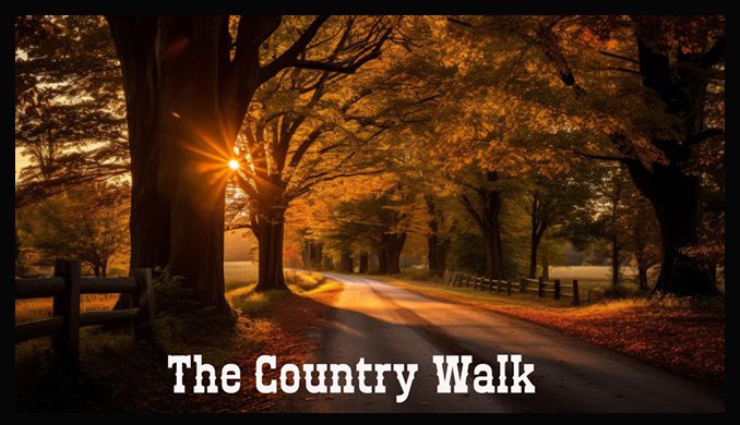 The Country Walk – License 2 Creator