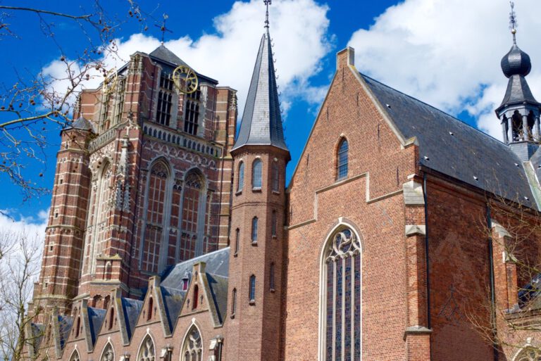 574d87552a5ab04b59fbbda5-large