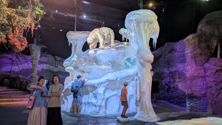 PXL_20250811_173131675.NIGHT