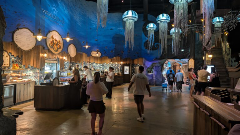 PXL_20250811_173301419.NIGHT