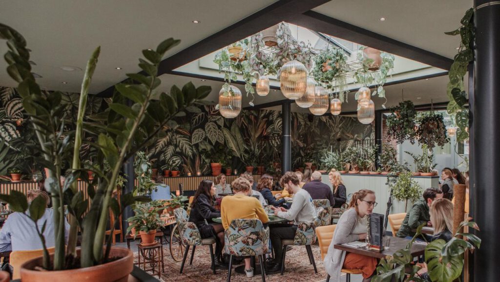 achtertuin-2_1590010679