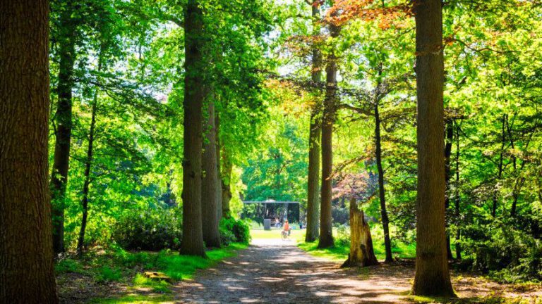 SB013-OudeWarande-01062021-JostijnLigtvoetFotografie-29-1 (Klein)