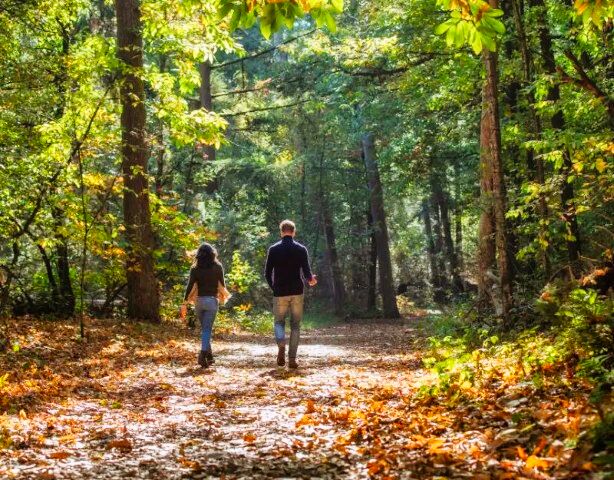 Visit_Brabant_hiking_herfstvakantie_brabant_bergvliet_villas_3657856516 (Klein)