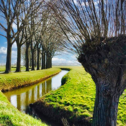 ingrid-ruis-oranjepolder-in-februari_2008275874 (Klein)
